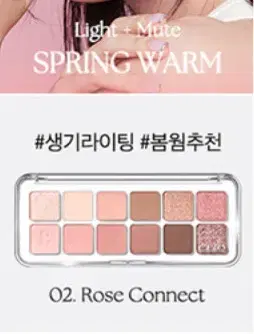 (Package) Clio Pro Eye Palette Rose Connect