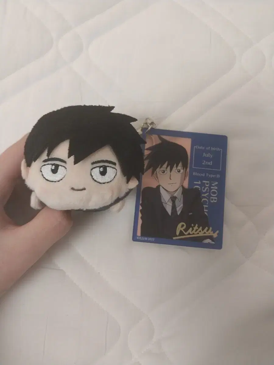 Mobsaiko 100 Mopsa Kageyama Ritz goods will be sold in bulk!