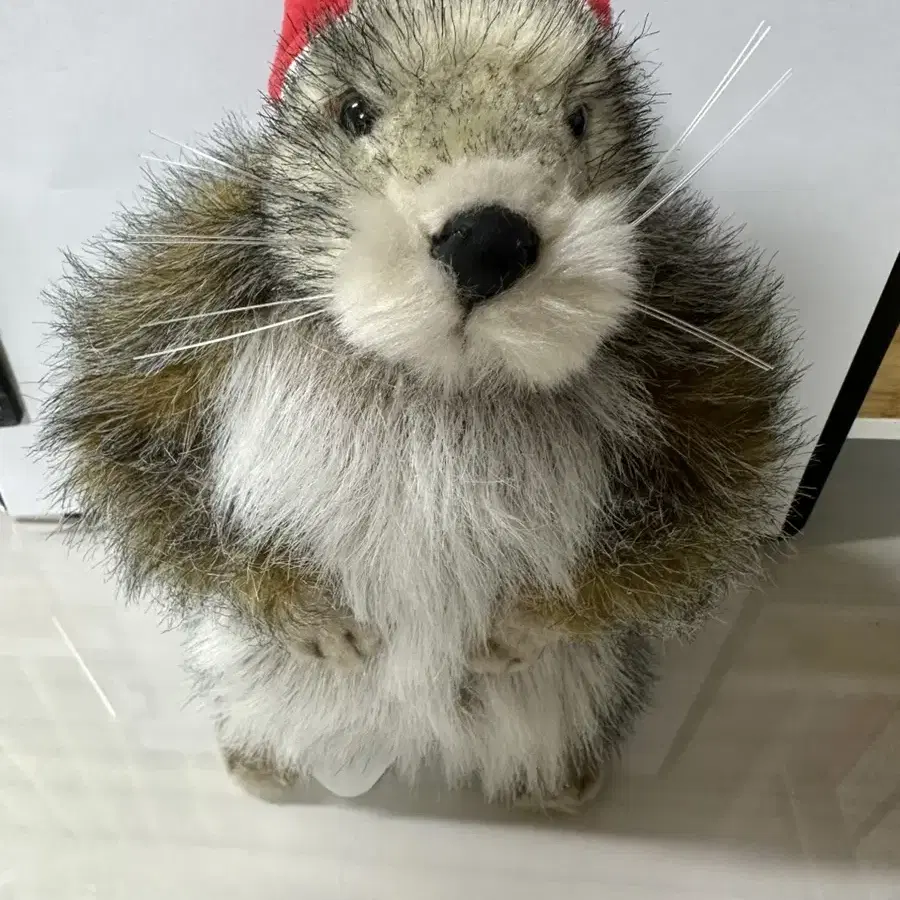 marmot 인형