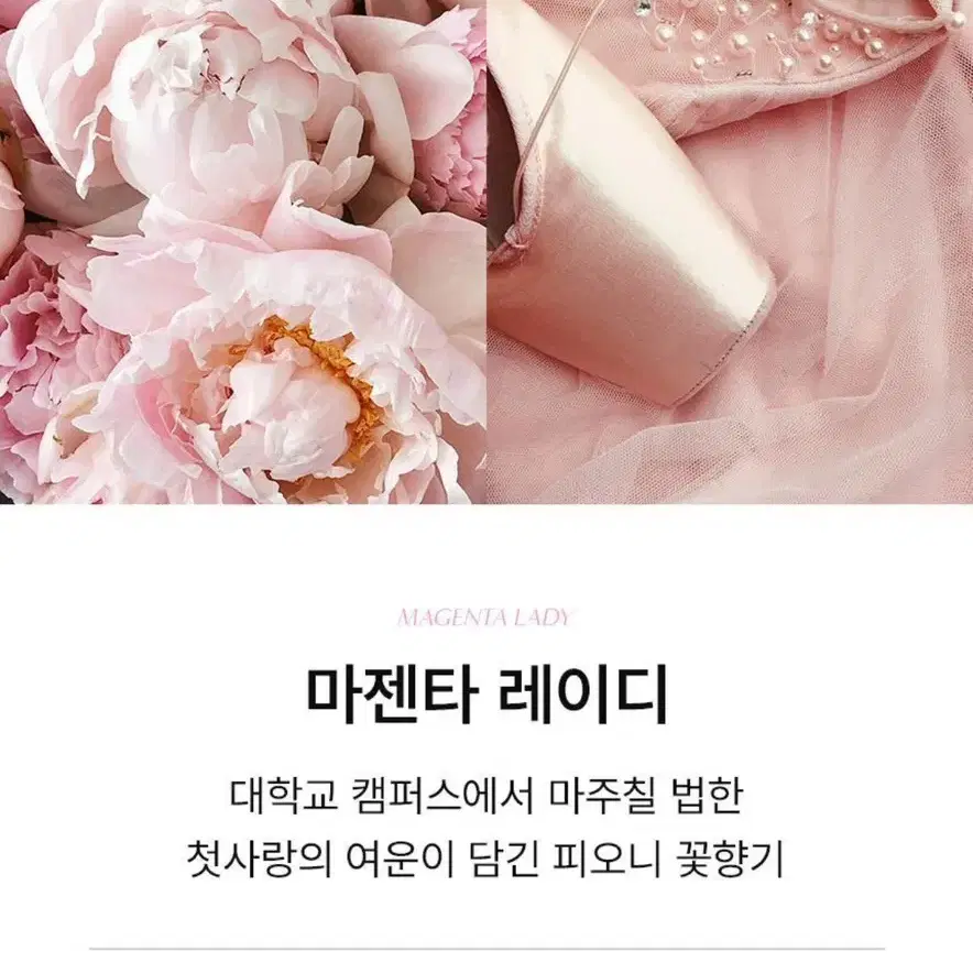 멈칫 향수 마젠타레이디