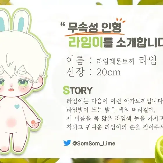 무속성 라임이 국내 국내솜 인형 솜깅 솜인형 20cm 양도 아기 토끼