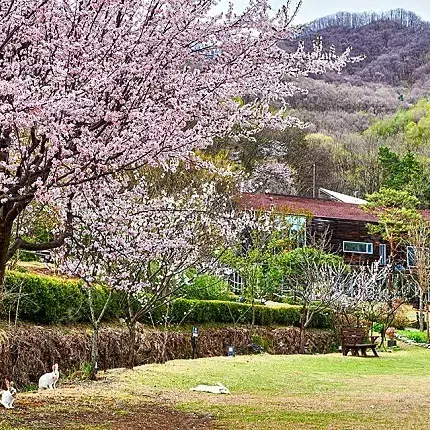 힐리언스 선마을 디럭스 1박2일권 예약해드립니다.