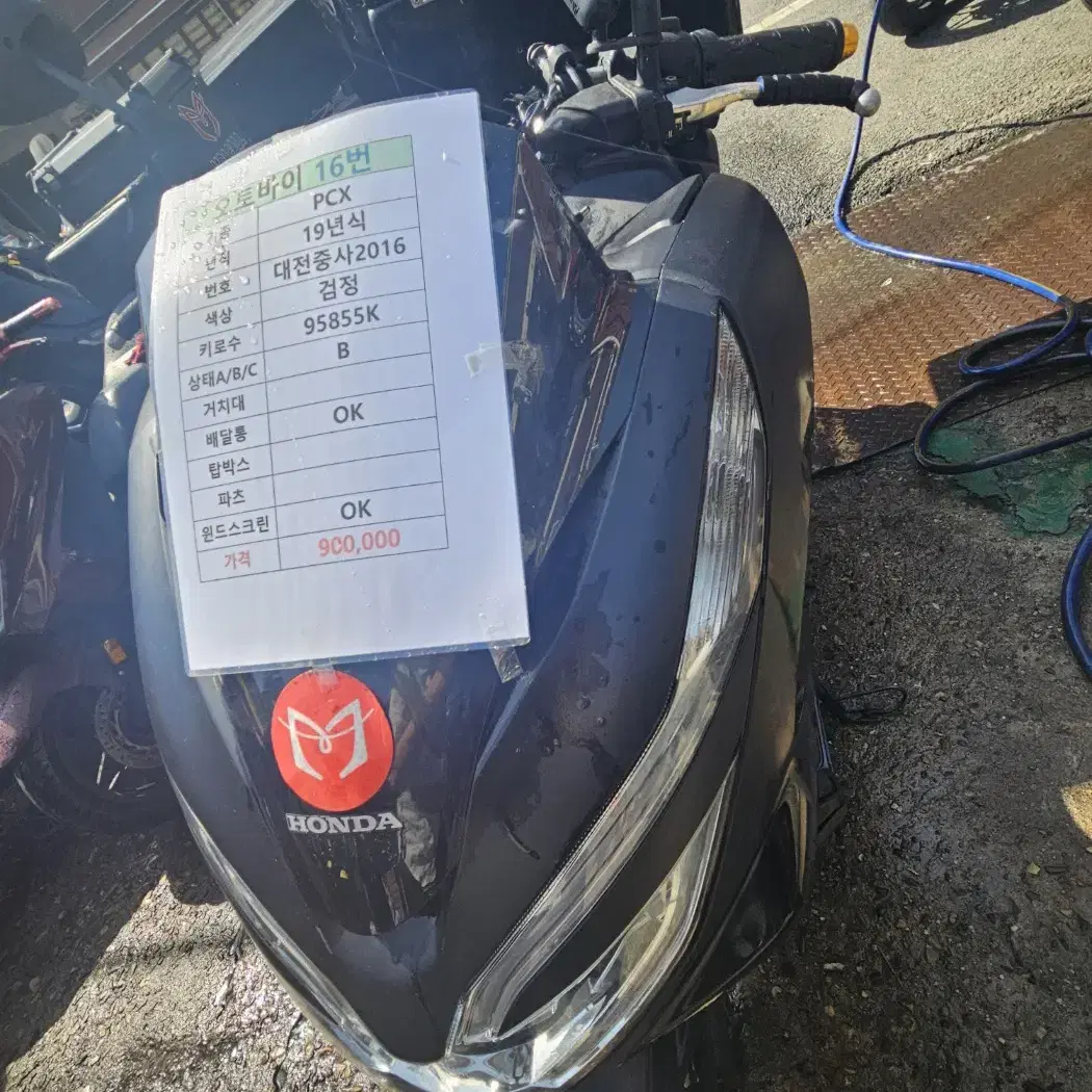 pcx 19년 검정 16번