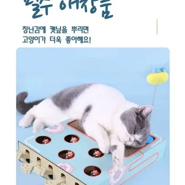 <새제품>안재현 안주 고양이 장난감 스크래쳐