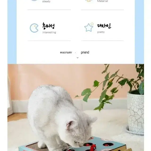 <새제품>안재현 안주 고양이 장난감 스크래쳐