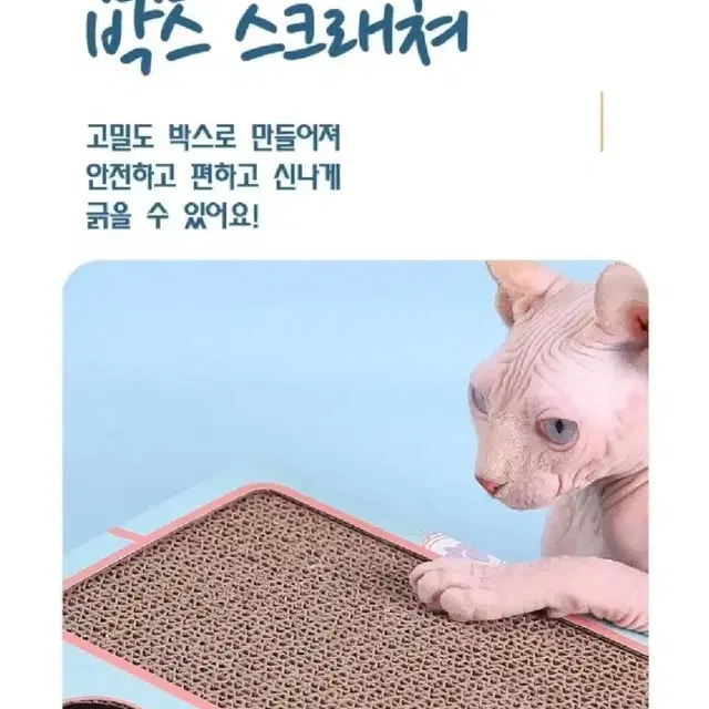 <새제품>안재현 안주 고양이 장난감 스크래쳐