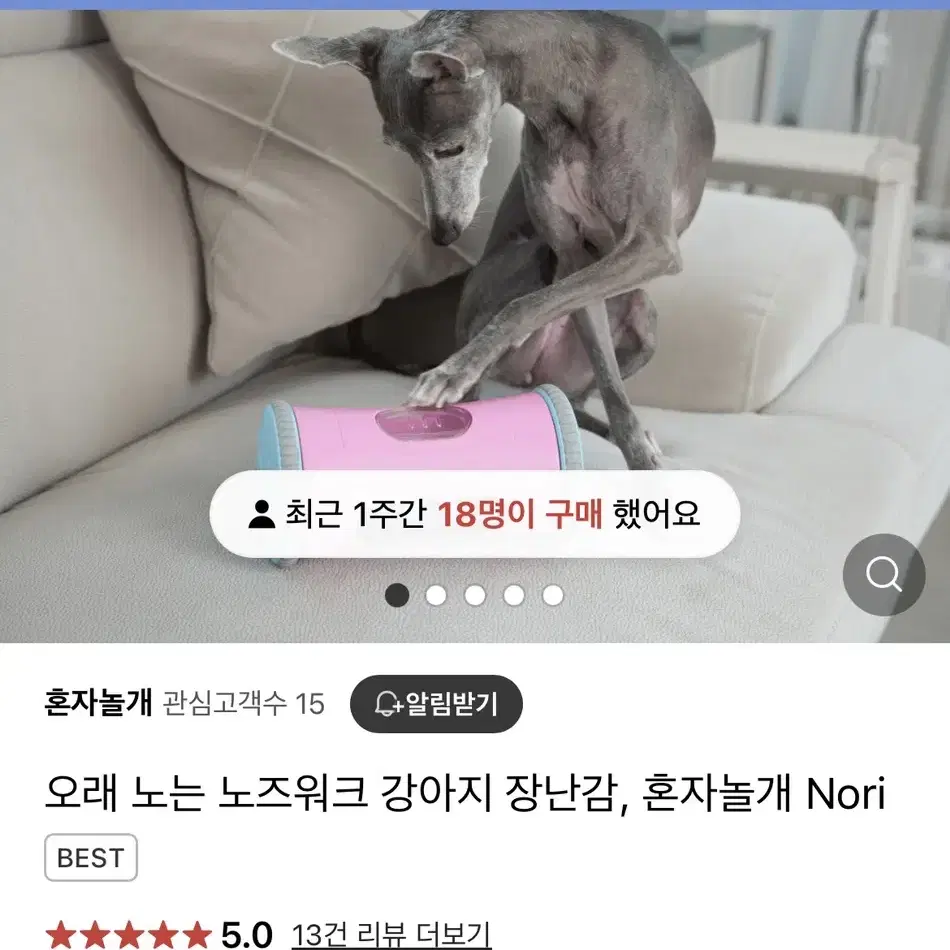 강아지 노즈워크 장난감