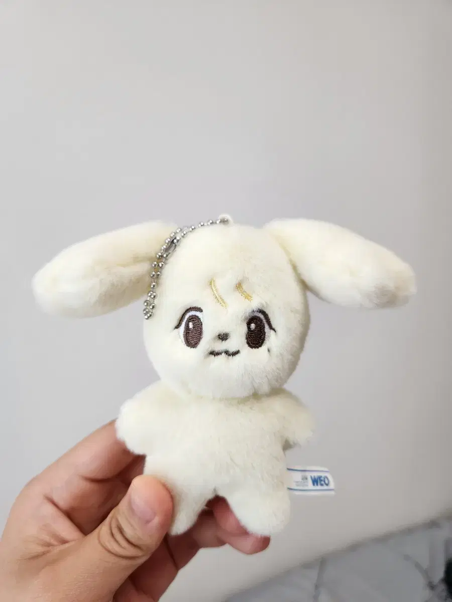 (Distribution) nct jungwoo doll Calf