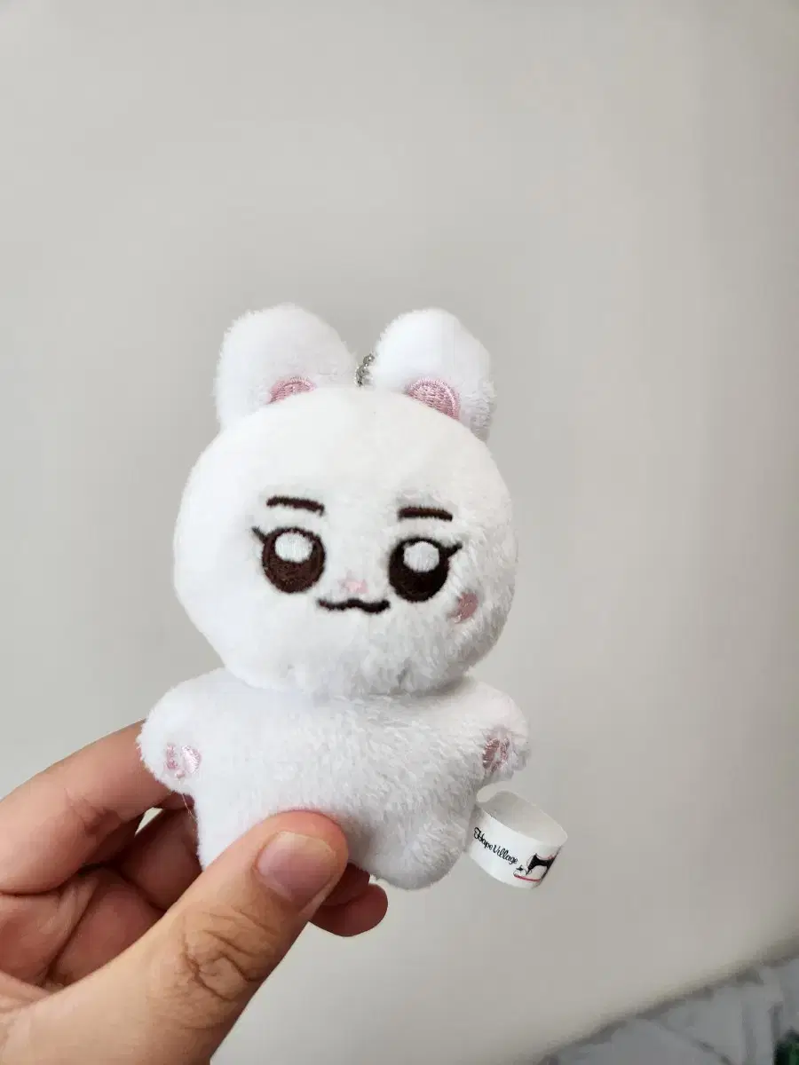 (Distribution) nct Dream jaemin doll Napongi