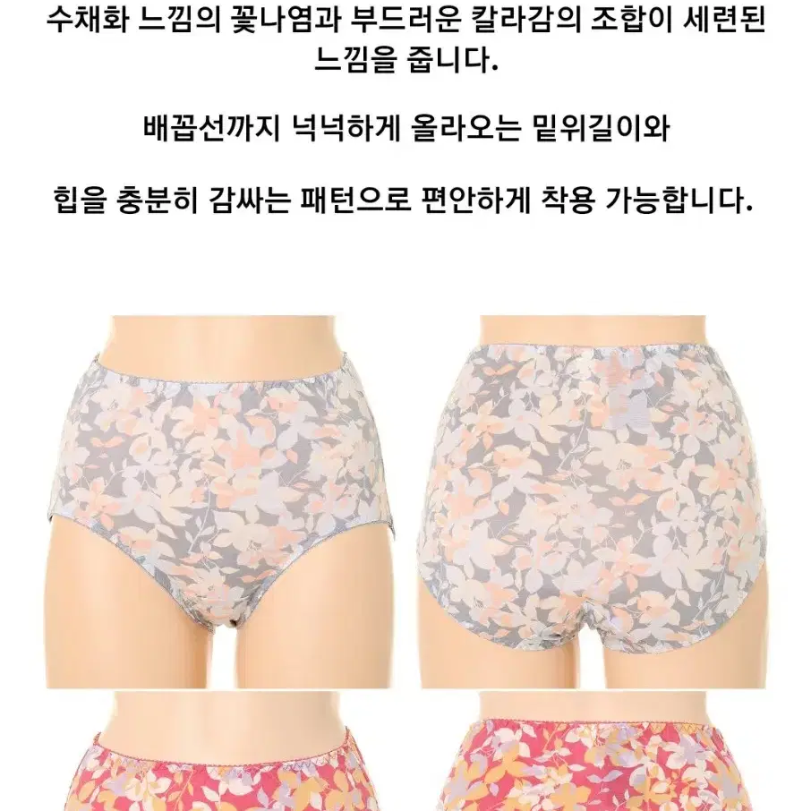 비너스 팬티 3장