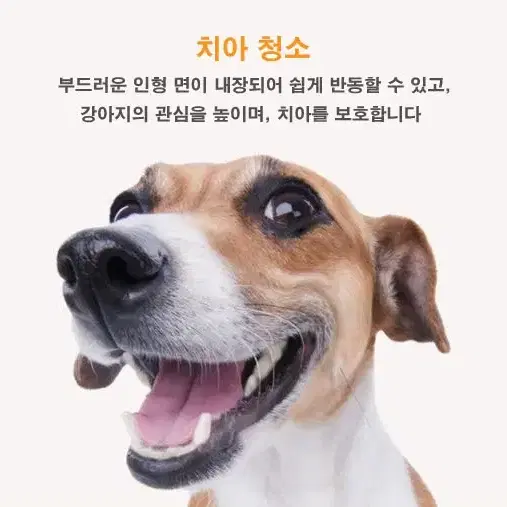 애완동물 말랑말랑 소리나는 공놀이 장난감