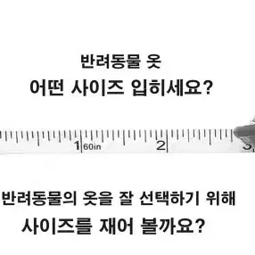 애완동물 봄 여름 캐릭터 패턴 옷