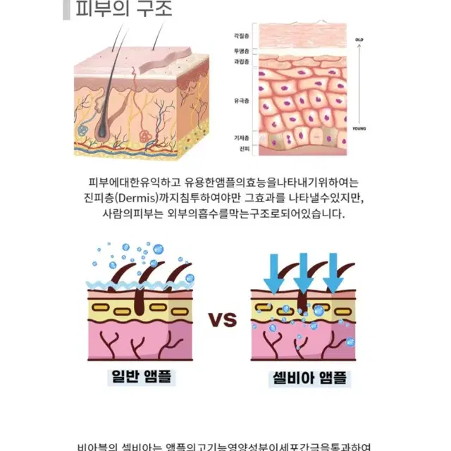 [셀비아]크리에이션 미솔로지앰플 30개판매합니다.