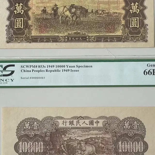 중국인민은행10000위안1949년견양권 PCGS66등급