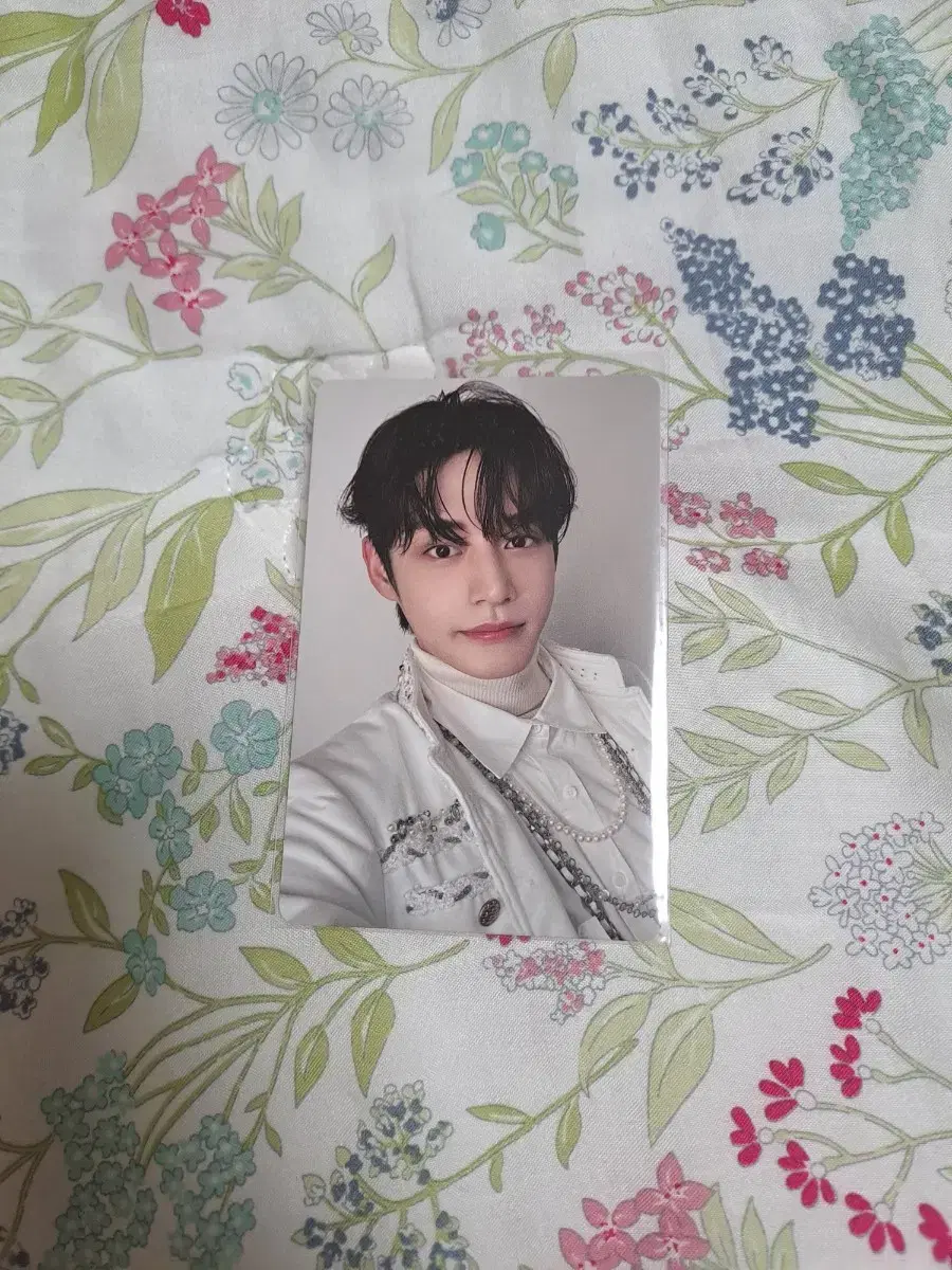 ZB1 Melting Point L Bum photocard Kim Jiwoong