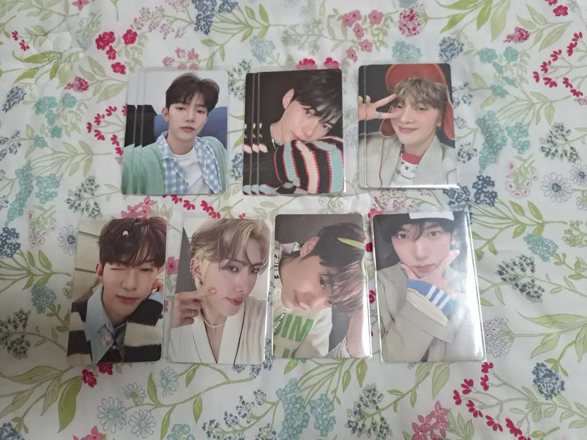 Price drop!!)Zebeone Melting Point l photocard zhang hao sung hanbin seok matthew ricky kim gyuvin han yujin