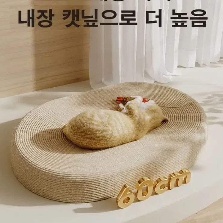 고양이 타원형 스크래쳐