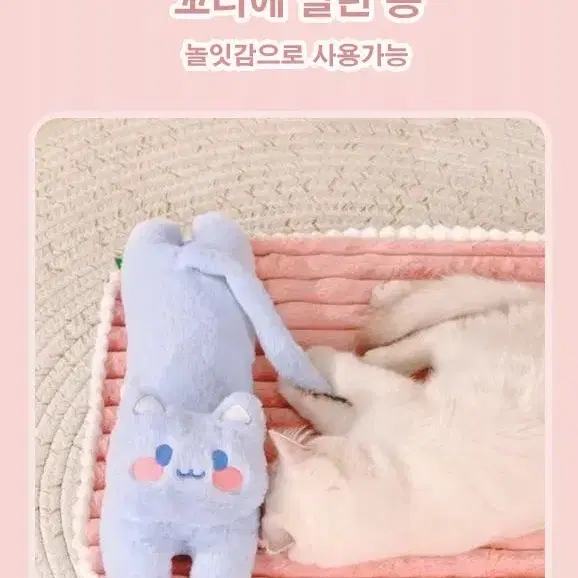 강아지 고양이 벨벳 매트 침대 방석