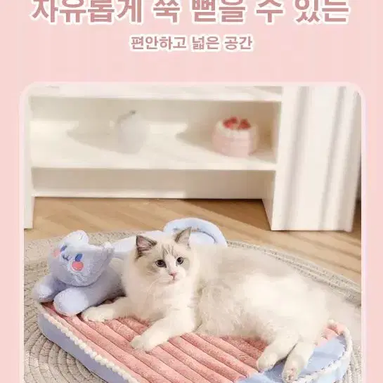 강아지 고양이 벨벳 매트 침대 방석