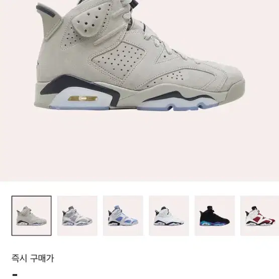 나이키 조던6 295사이즈