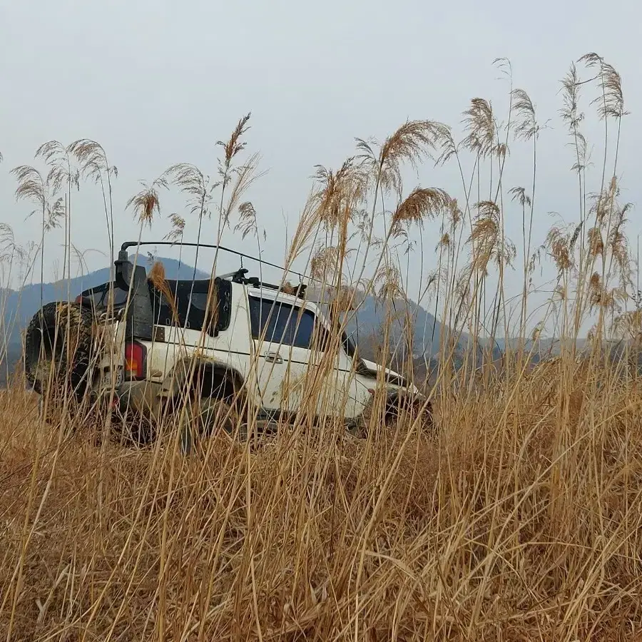 2002  수동 뉴코란도 35구변완료