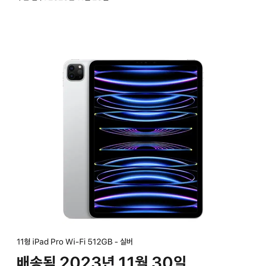 ipad Pro Wi-Fi 512GB-실버 4세대