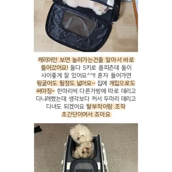 강아지 이동식 바퀴달린 캐리어