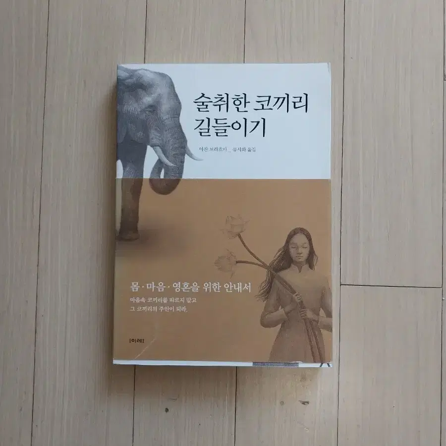 책/류시화 술취한 코끼리 길들이기