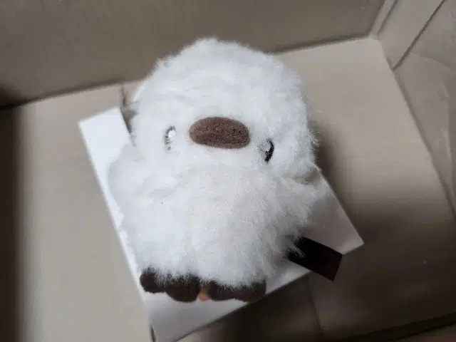 피누 10cm 인형 누이