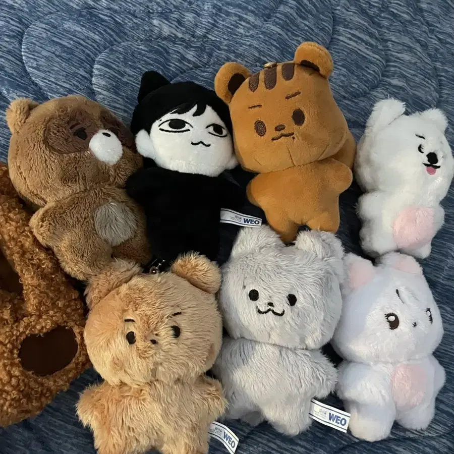 더보이즈 인형 쪼구리 달곰 쥬냥 차니냥 마물쭈 멍재