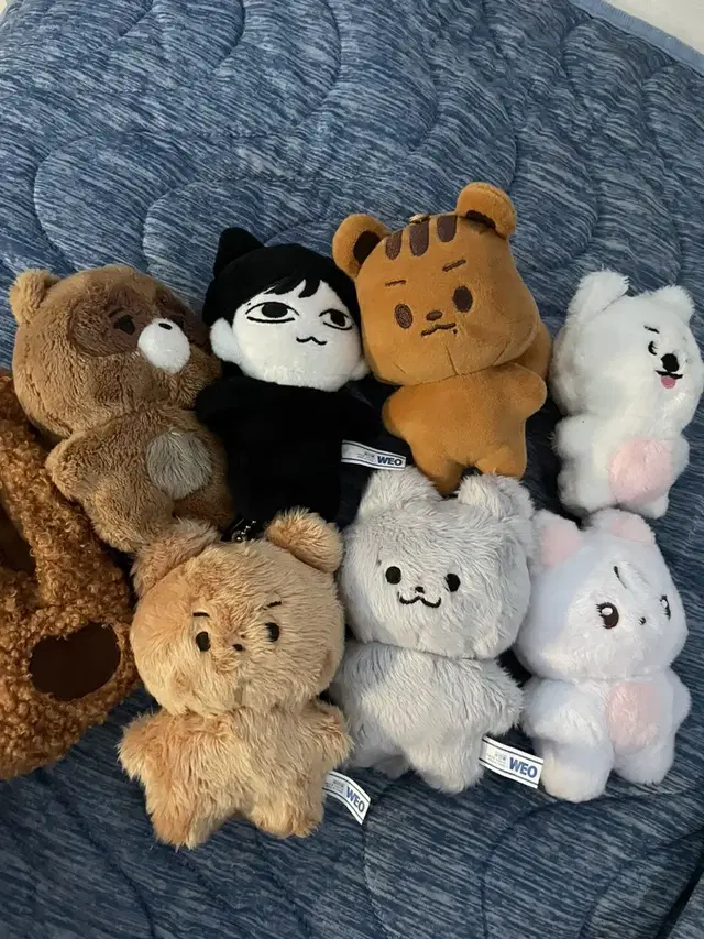 더보이즈 인형 쪼구리 달곰 쥬냥 차니냥 마물쭈 멍재