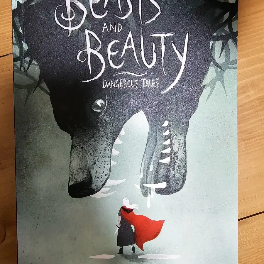 Beasts and Beauty 외 영어소설 책들