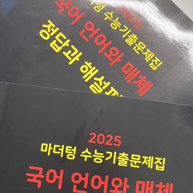 (반택포) 2025 마더텅 언어와매체