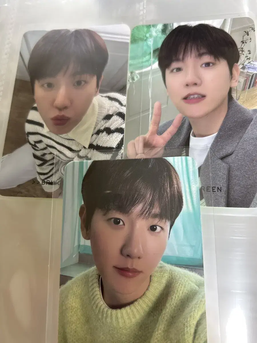 BringGreen baekhyun photocard