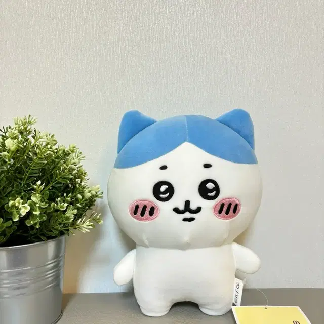 먼작귀 치이카와 하치와레 인형25cm