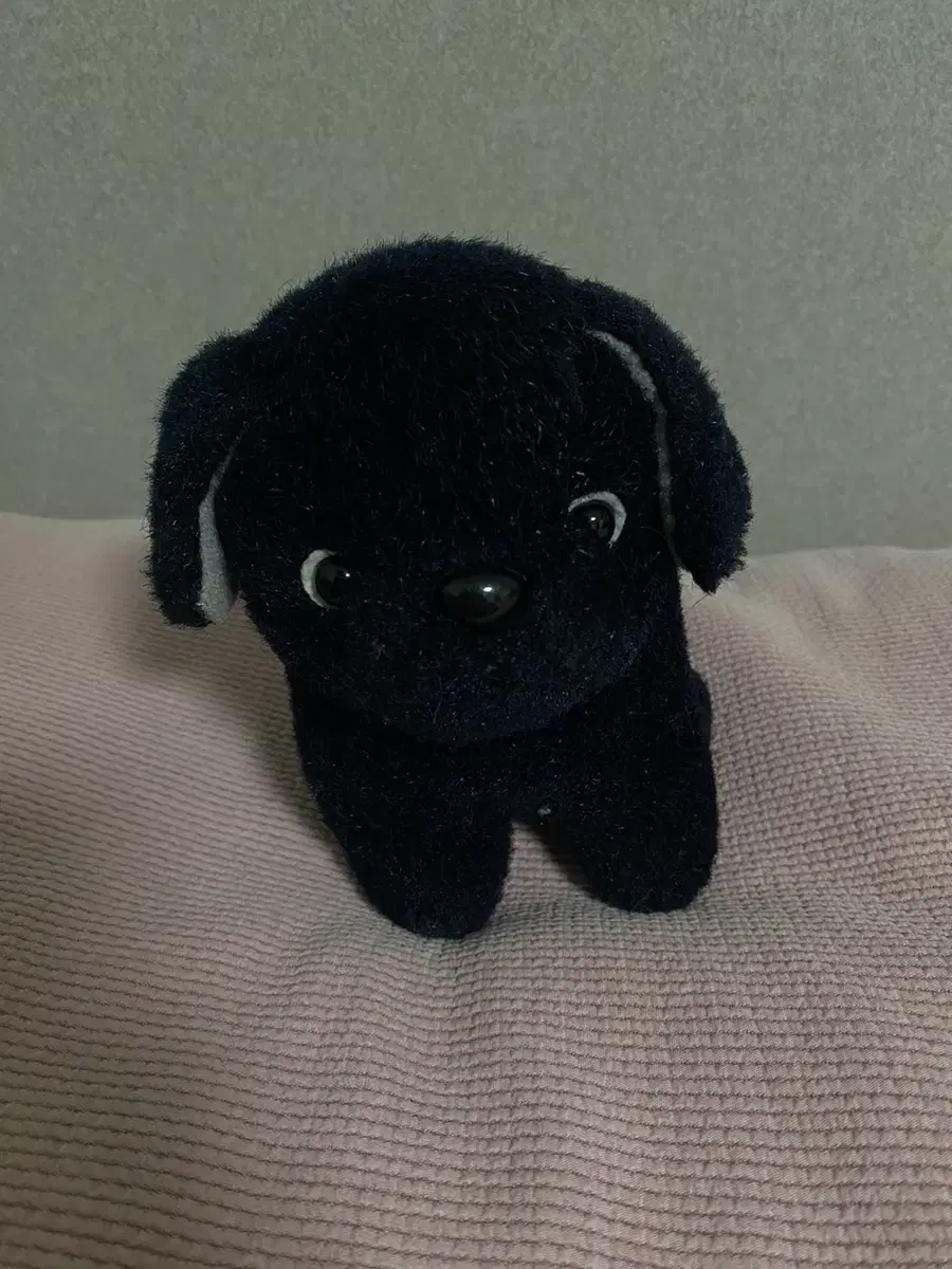 Black Puppy Puppet