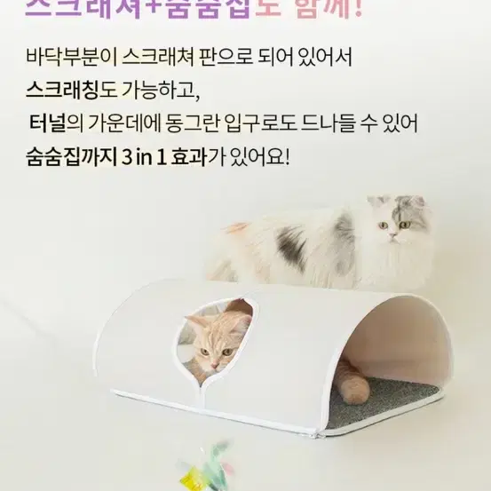 베베네코 고양이 터널 스크래쳐 달콤아치퐁