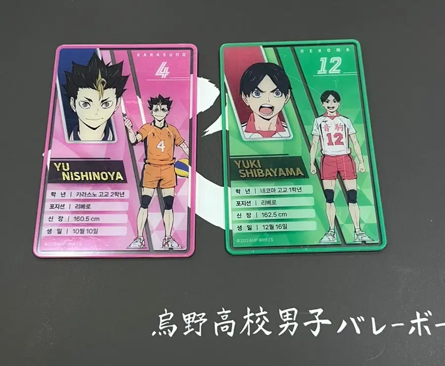 Haikyuu Nishinoya Shibayama Collection Acrylic Kard