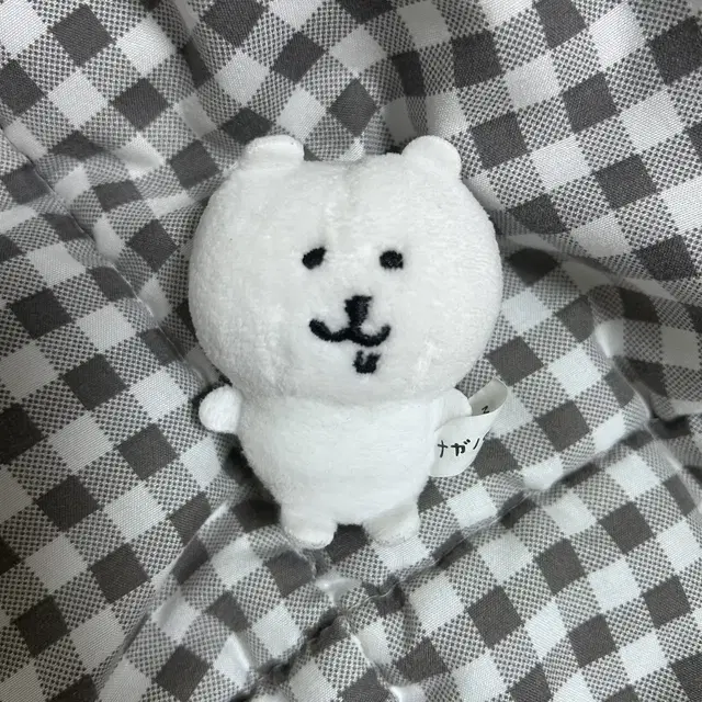 침담곰