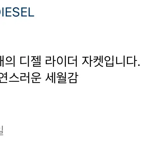 디젤 빈티지 라이더자켓 diesel 락시크 펑크 키스카르마 헨파티