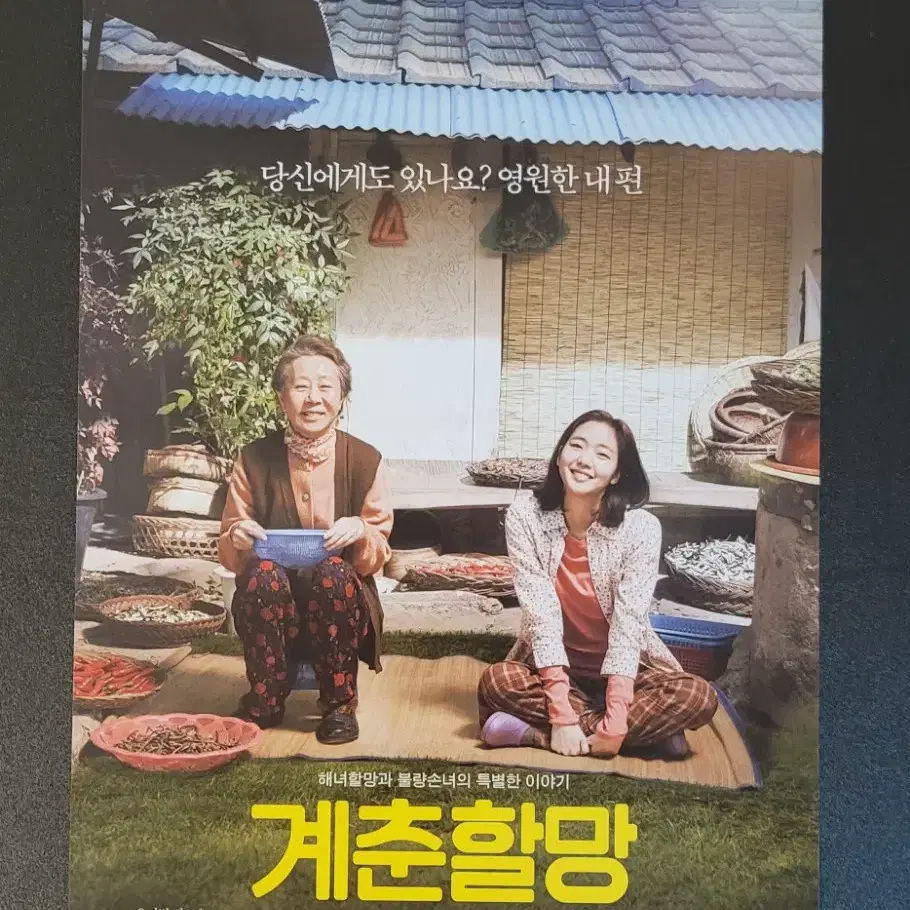 [영화팜플렛] 계춘할망 전단지 (2016) 김고은 윤여정 최민호