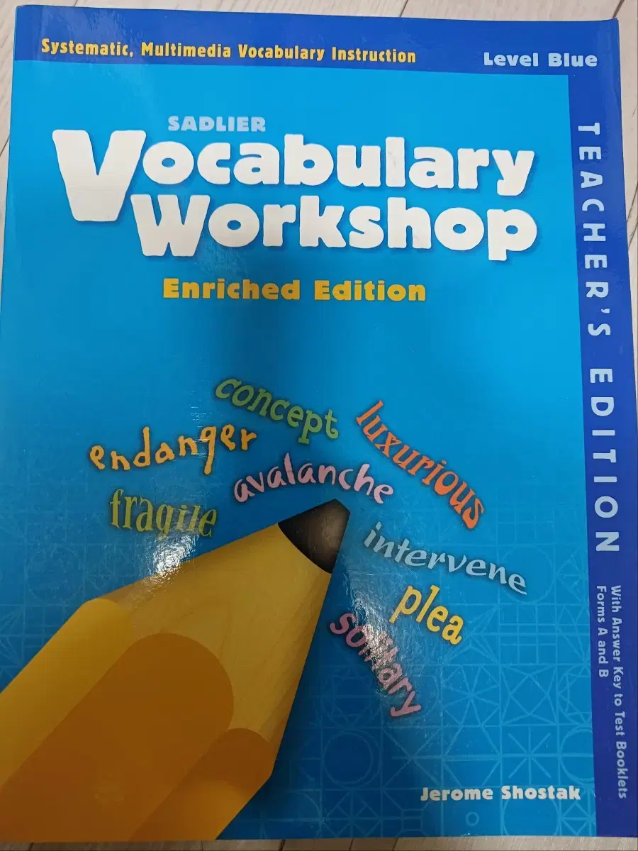 vocabulary workshop