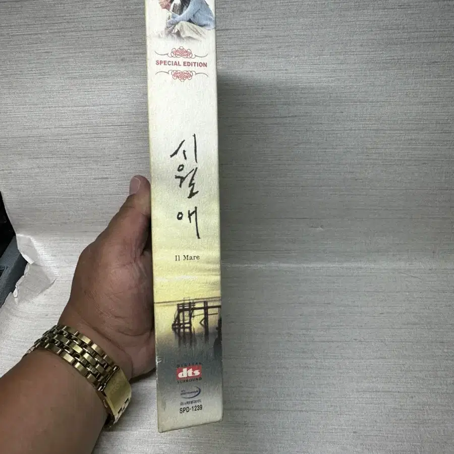 DVD 시월애 전지현싸인,2디스크