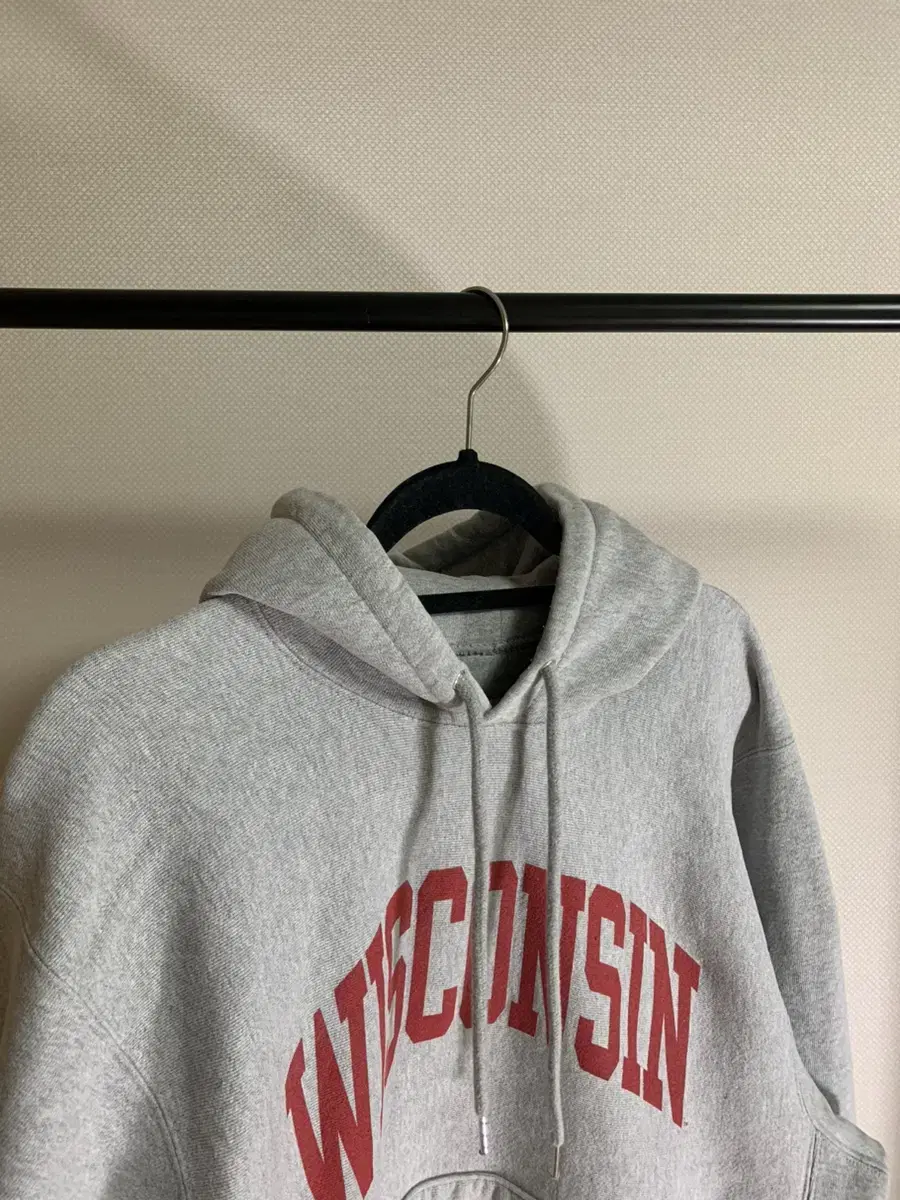 Vintage 90s Champion Reverse Weave Gray Hoodie