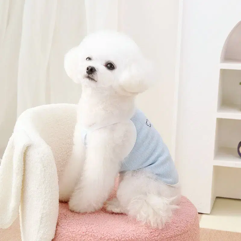 강아지 고양이 곰돌이 끈나시