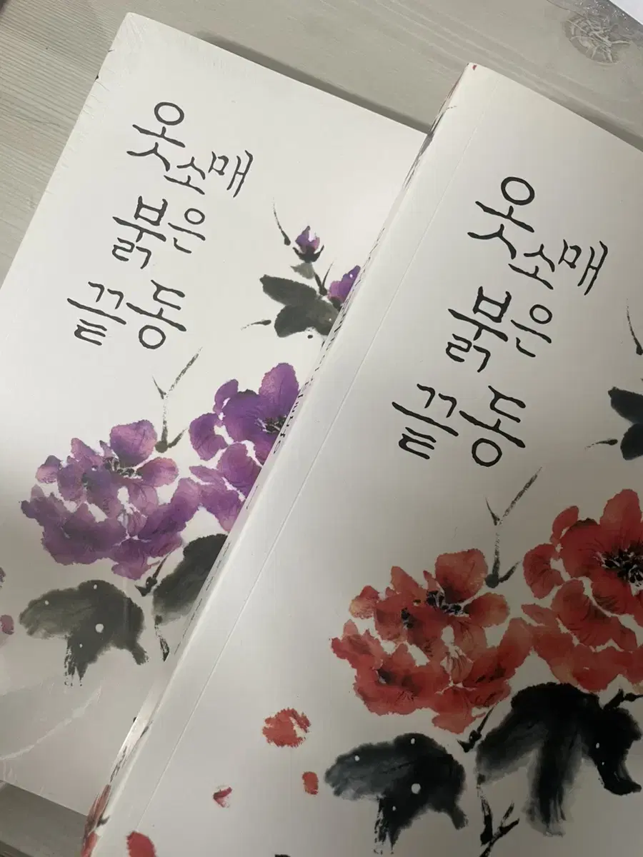 옷소매 붉은 끝동 원작