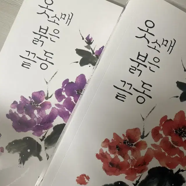 옷소매 붉은 끝동 원작