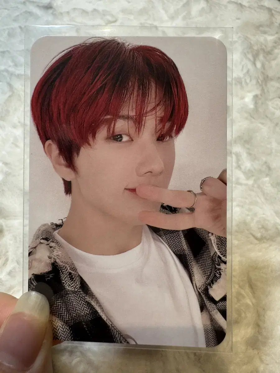 nct dream jisung photocard wts Sell