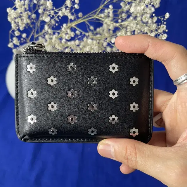 빔즈 카드 케이스 casselini card case