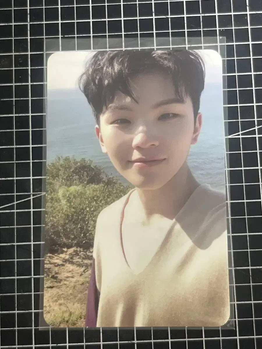 alpo) seventeen woozi photocard wts